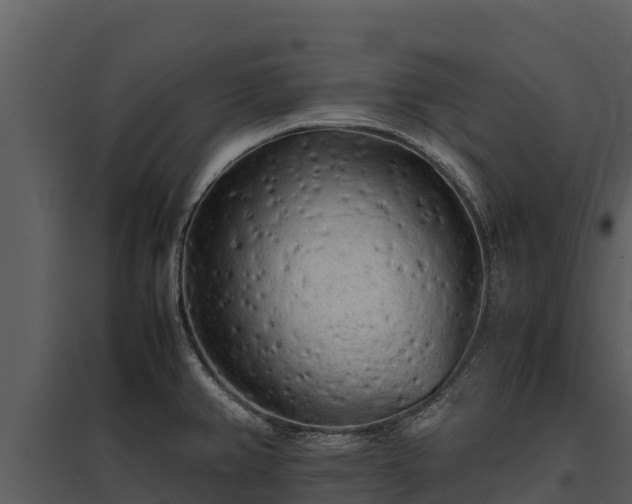 X0000095691382200801151138