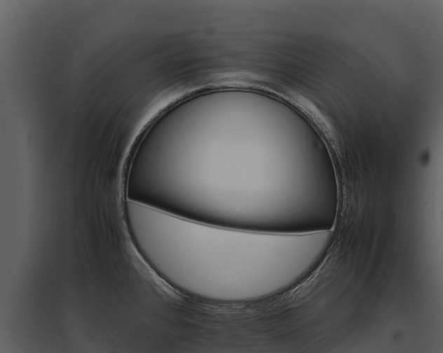 X0000095691384200801151138