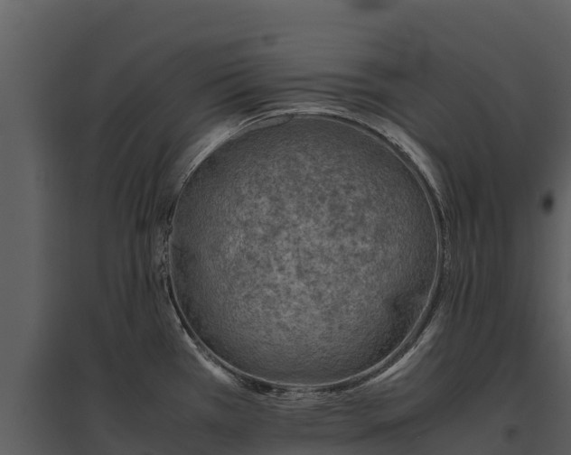 X0000095691385200801151138
