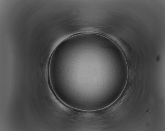 X0000095691387200801151138