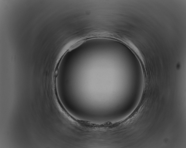 X0000095691389200801151138