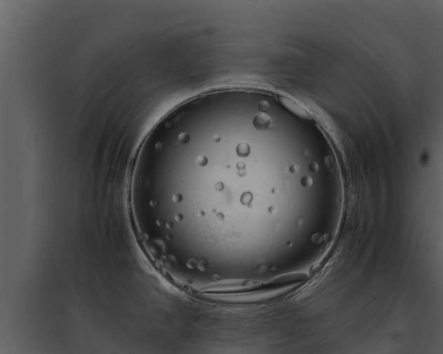 X0000095691390200801151138