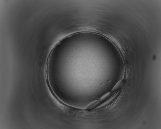 X0000095691391200801151138