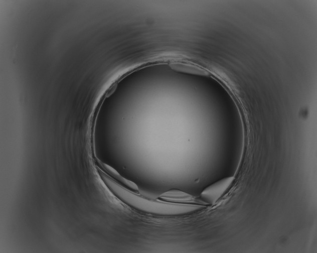 X0000095691392200801151138