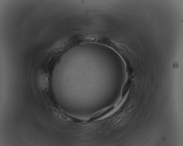 X0000095691394200801151138