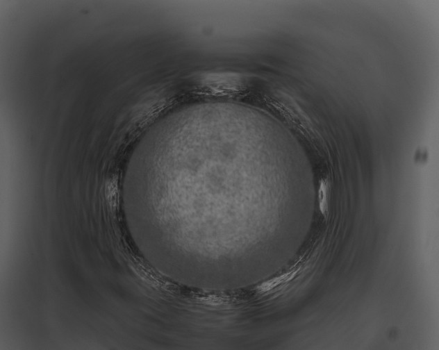 X0000095691395200801151138