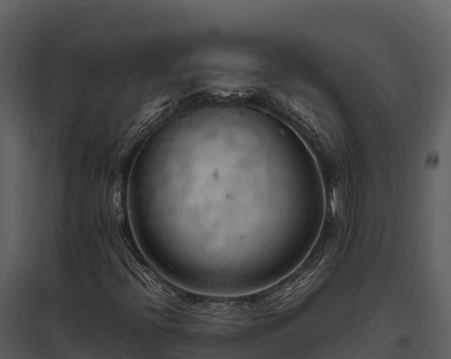 X0000095691396200801151138