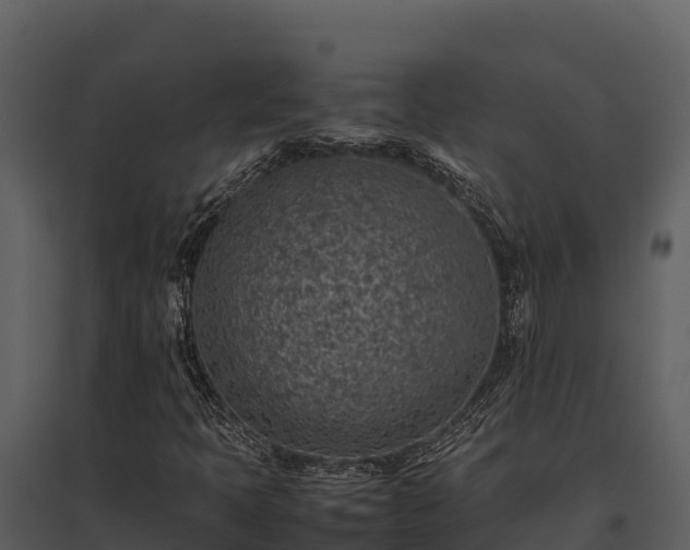 X0000095691397200801151138