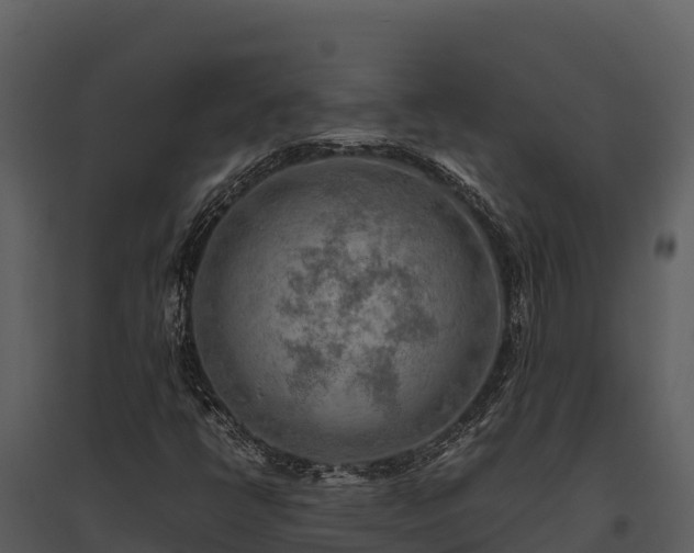 X0000095691398200801151138