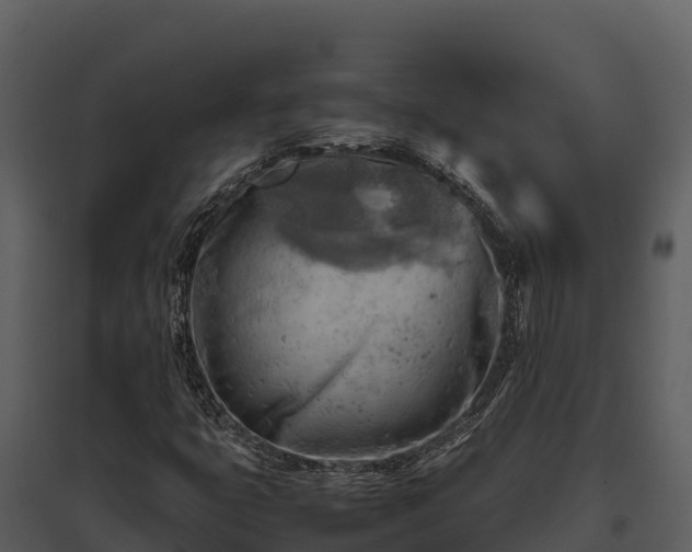 X0000095691399200801151138