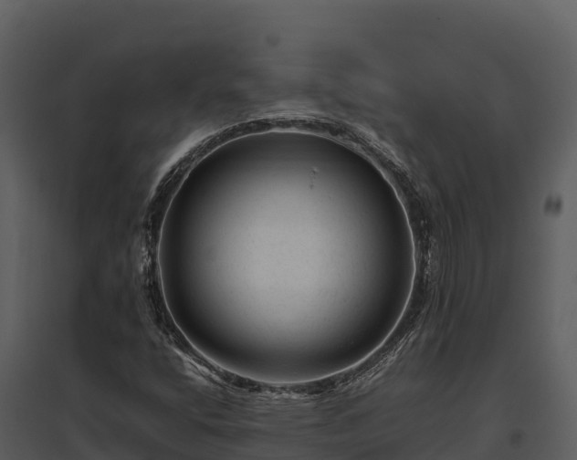 X0000095691400200801151138
