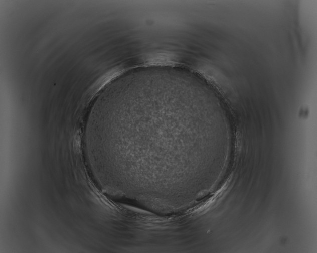 X0000095691401200801151138