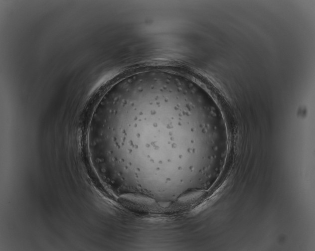 X0000095691402200801151138