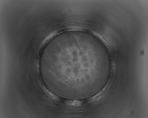 X0000095691403200801151138