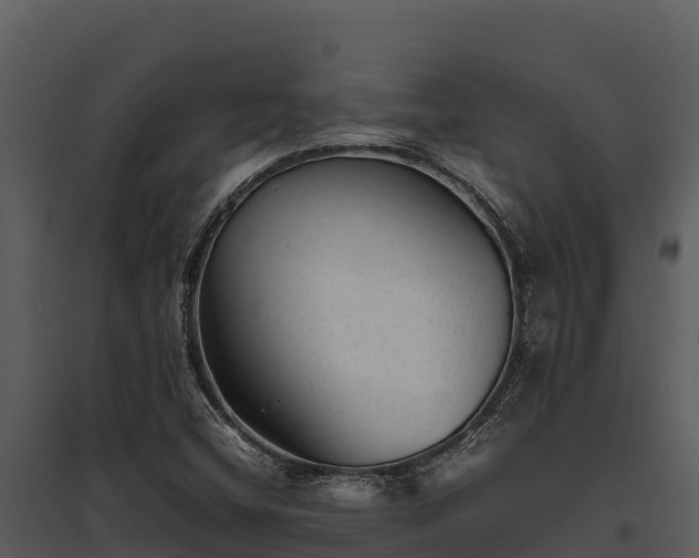 X0000095691404200801151138