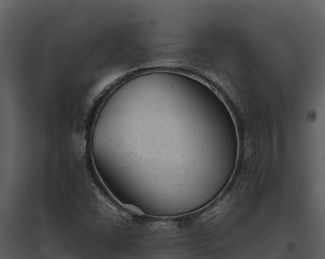 X0000095691406200801151138