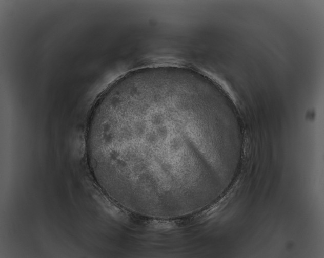 X0000095691407200801151138