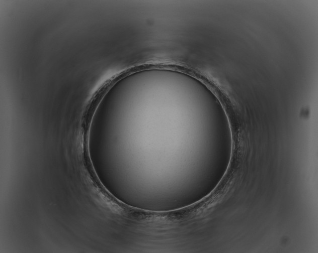 X0000095691408200801151138