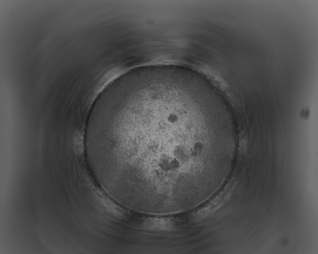 X0000095691409200801151138