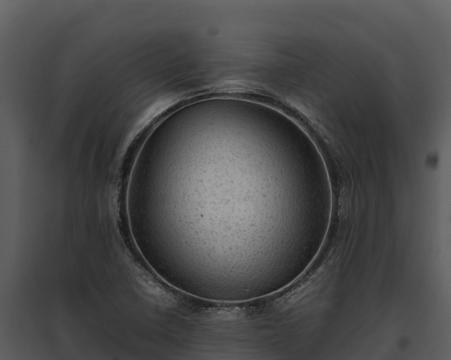 X0000095691410200801151138