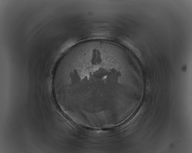 X0000095691411200801151138