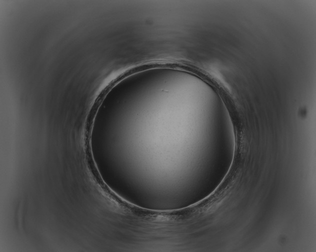 X0000095691412200801151138
