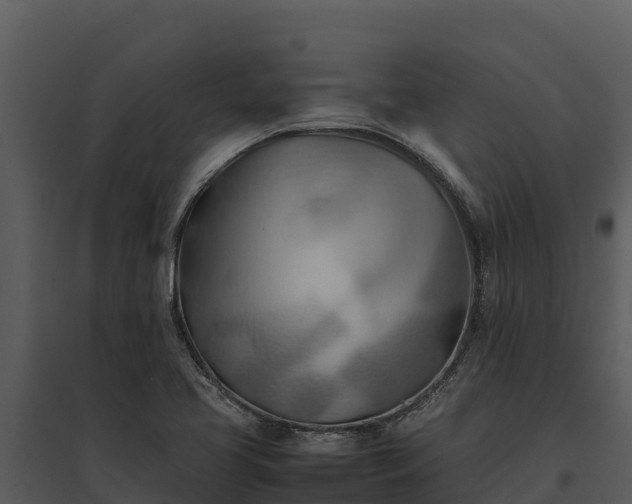X0000095691413200801151138