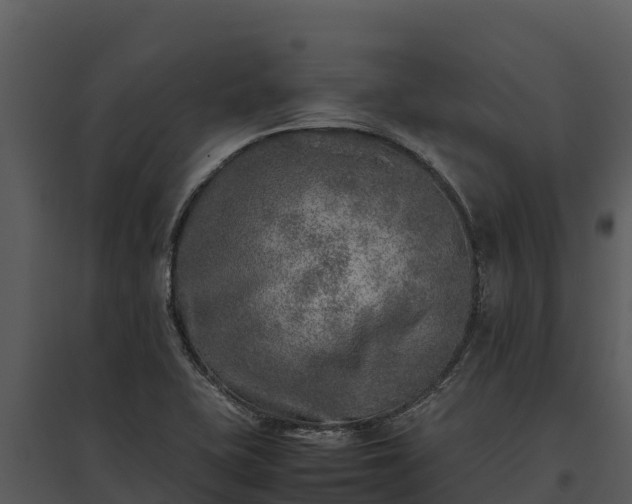 X0000095691415200801151138