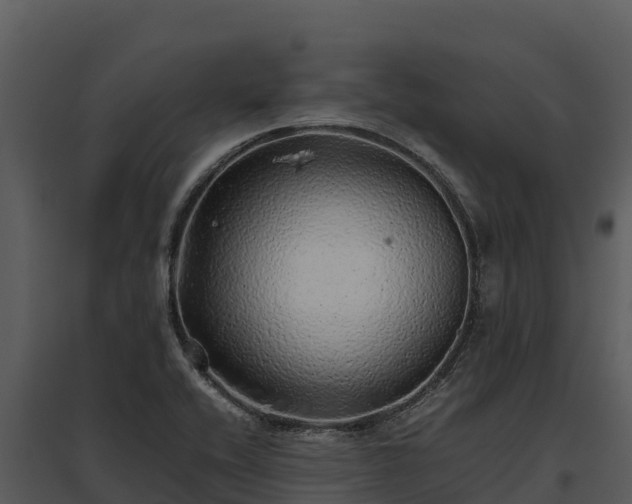 X0000095691416200801151138