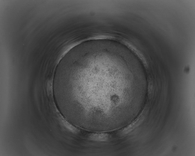X0000095691417200801151138
