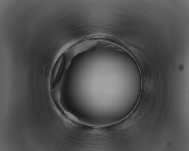 X0000095691418200801151138