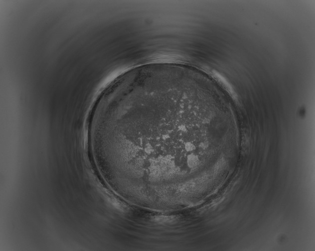 X0000095691419200801151138