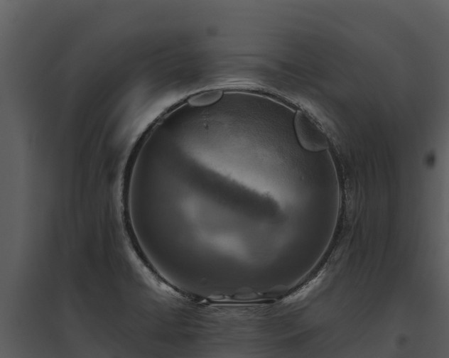X0000095691422200801151138