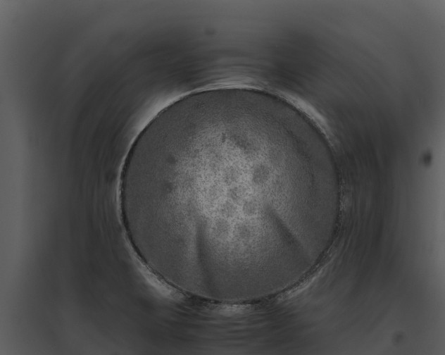 X0000095691423200801151138