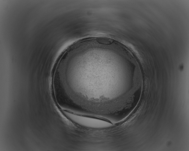 X0000095691424200801151138