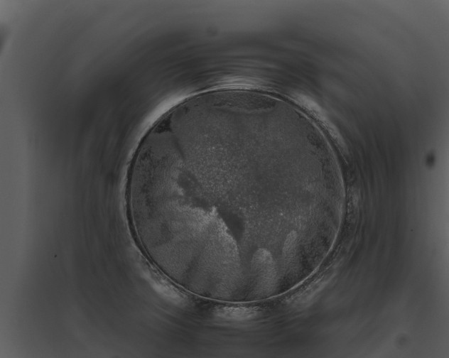X0000095691427200801151138