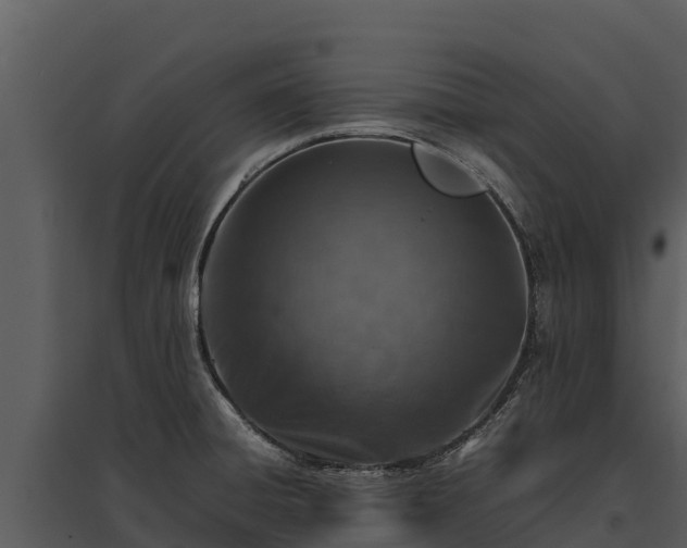 X0000095691428200801151138