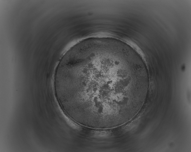 X0000095691429200801151138