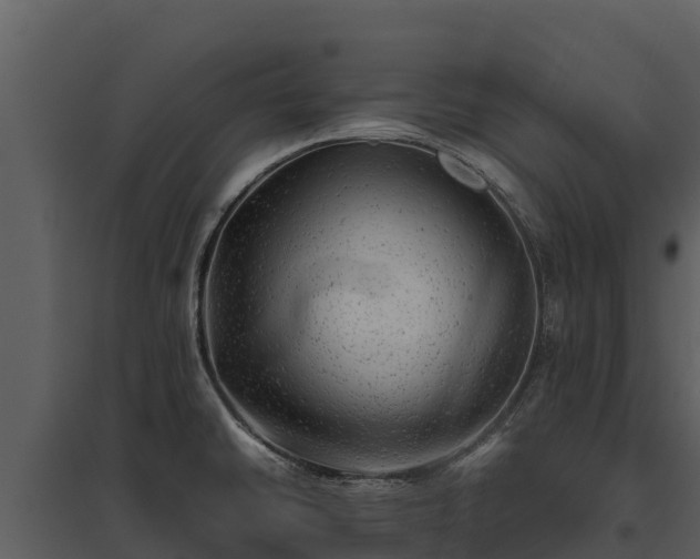 X0000095691430200801151138