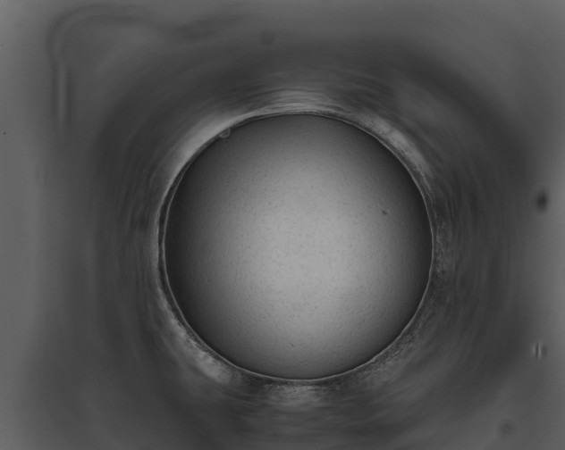 X0000095691431200801151138