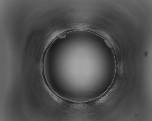 X0000095691432200801151138