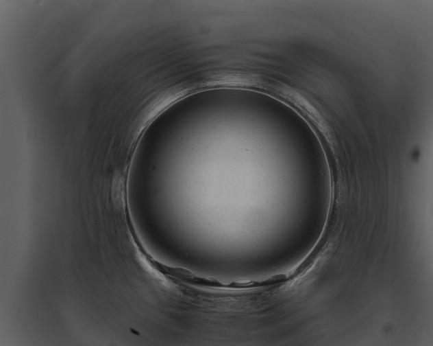 X0000095691433200801151138