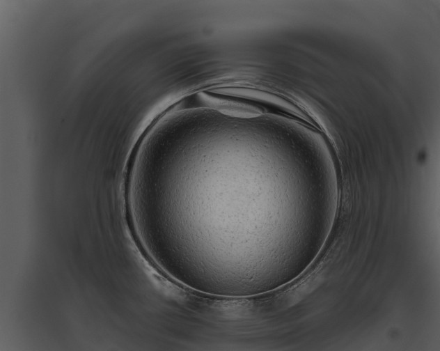 X0000095691434200801151138