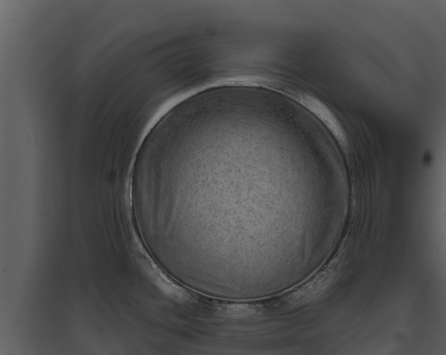 X0000095691436200801151138