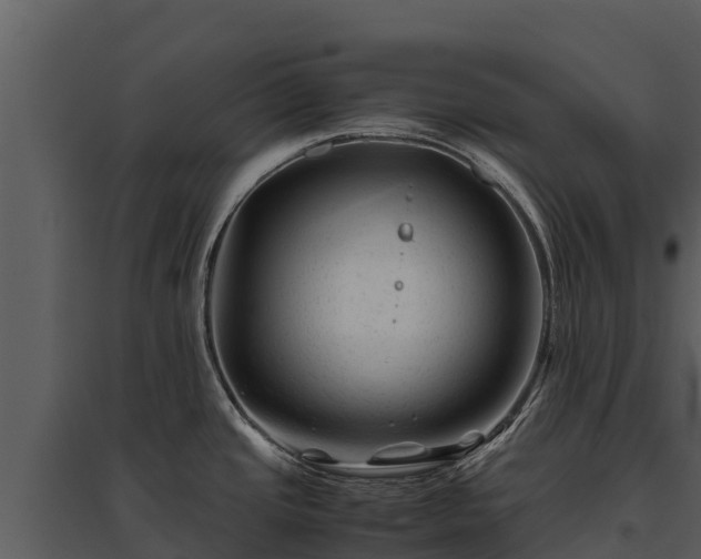 X0000095691437200801151138