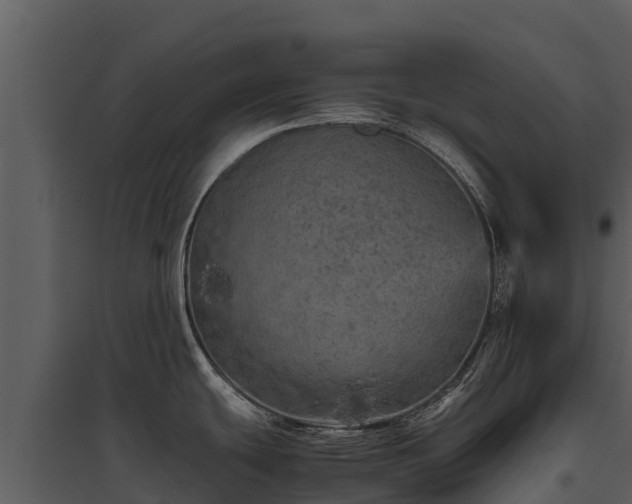 X0000095691439200801151138