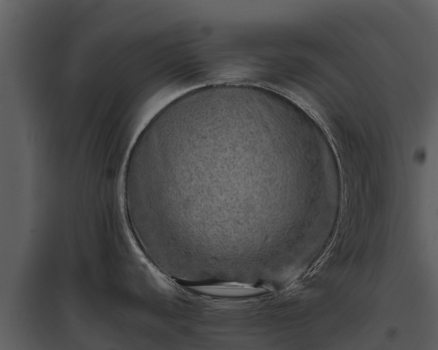 X0000095691440200801151138