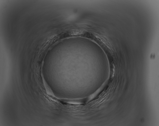 X0000095691441200801151138
