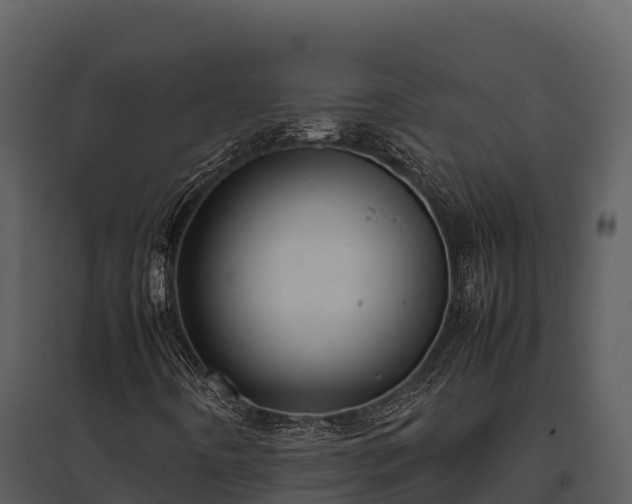 X0000095691442200801151138