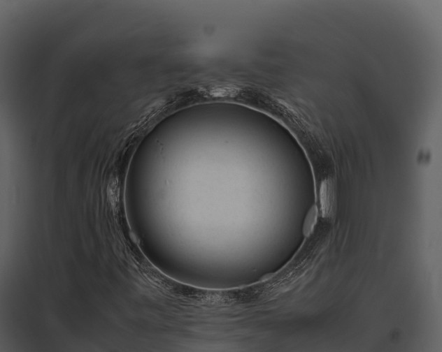 X0000095691443200801151138
